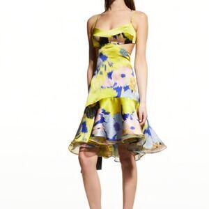 Silvia Tcherassi Analissa Floral-Print Cutout Dress size Medium-P16